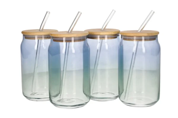 Danny Home Drinking Glass Cup 4pcs 480ml