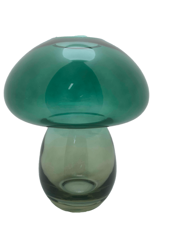 Danny Home Glass Vase 18cm - Image 3